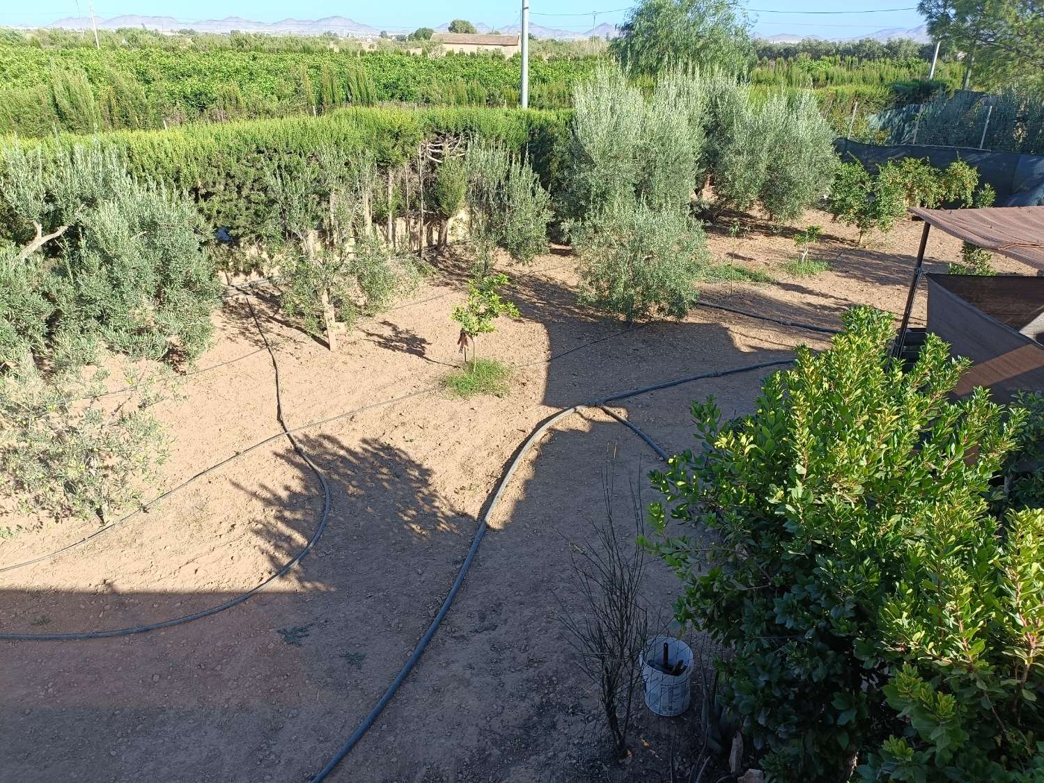 CASA RESIDENCIAL INDEPENDIENTE CON PISCINA Y PARCELA