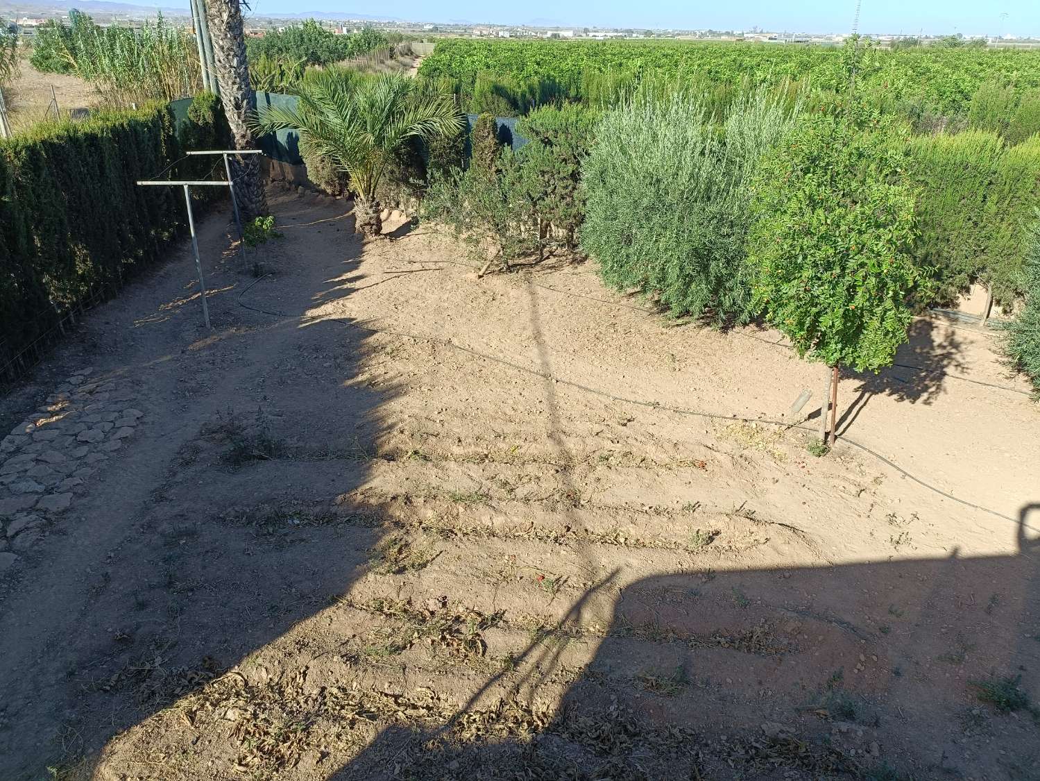 CASA RESIDENCIAL INDEPENDIENTE CON PISCINA Y PARCELA