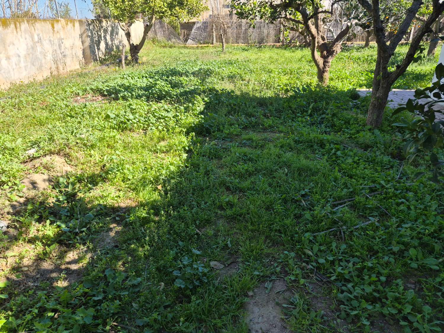 Finca con encanto en La Aljorra