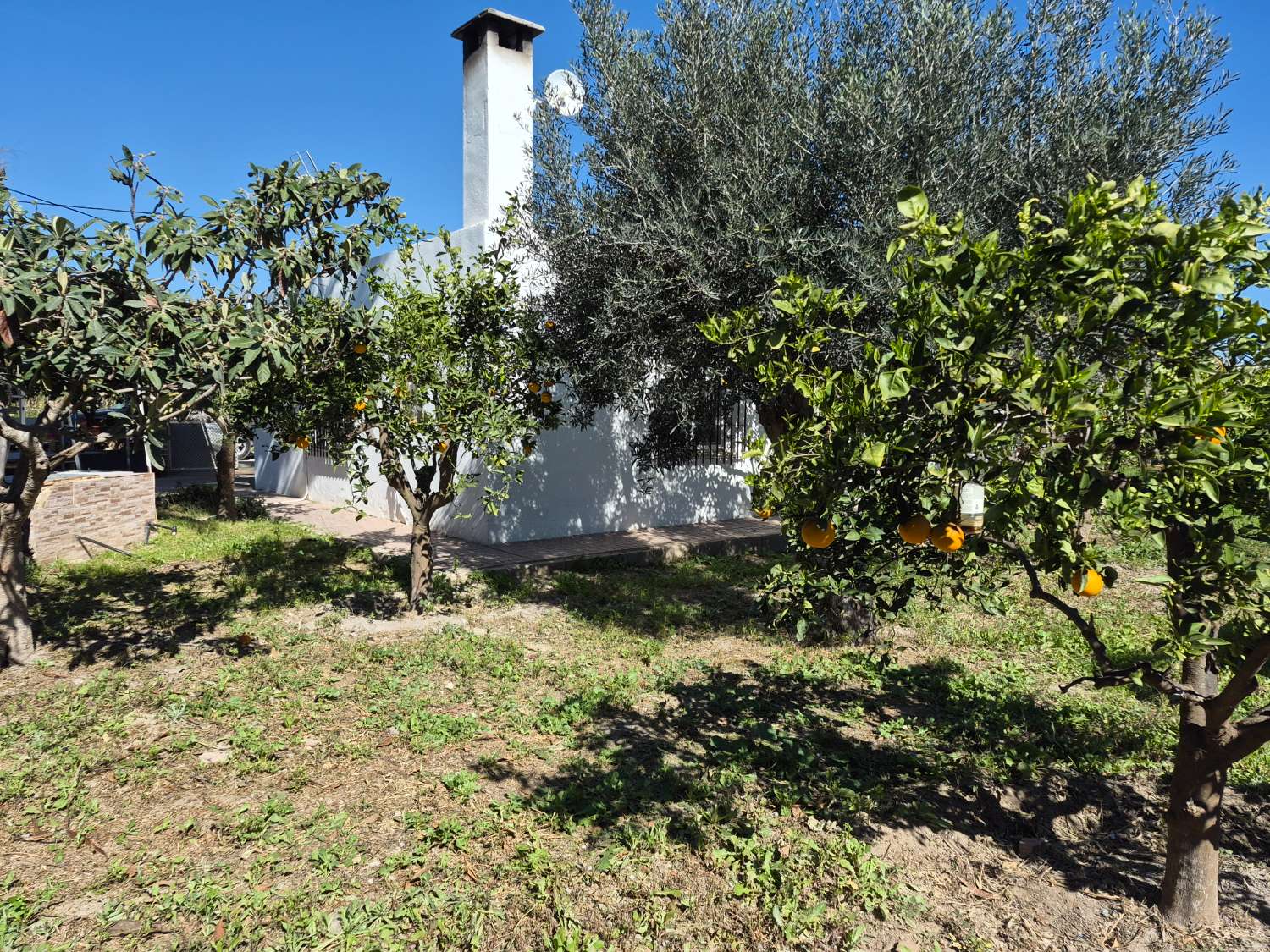 Finca con encanto en La Aljorra