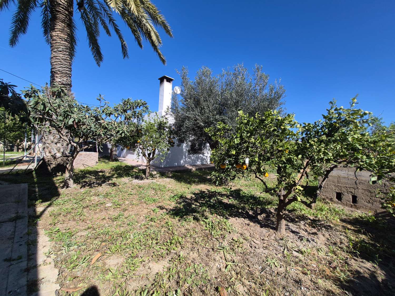 Finca con encanto en La Aljorra