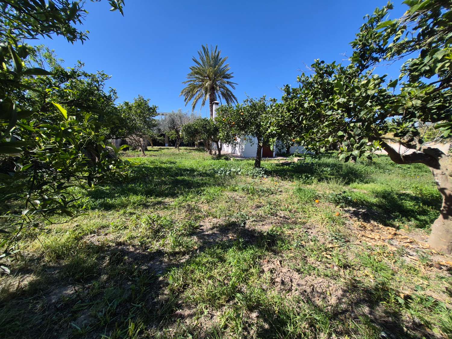 Finca con encanto en La Aljorra