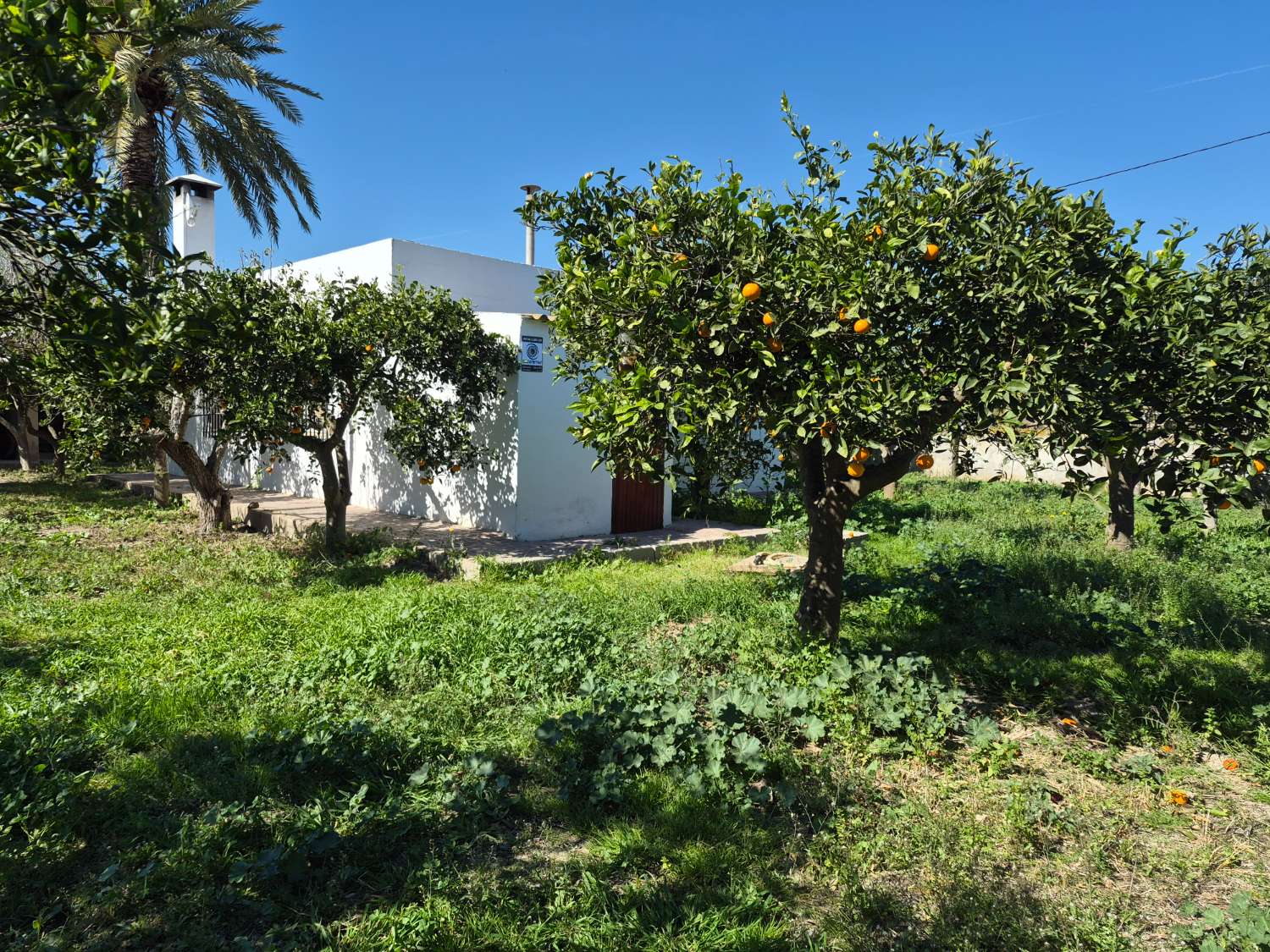 Finca con encanto en La Aljorra