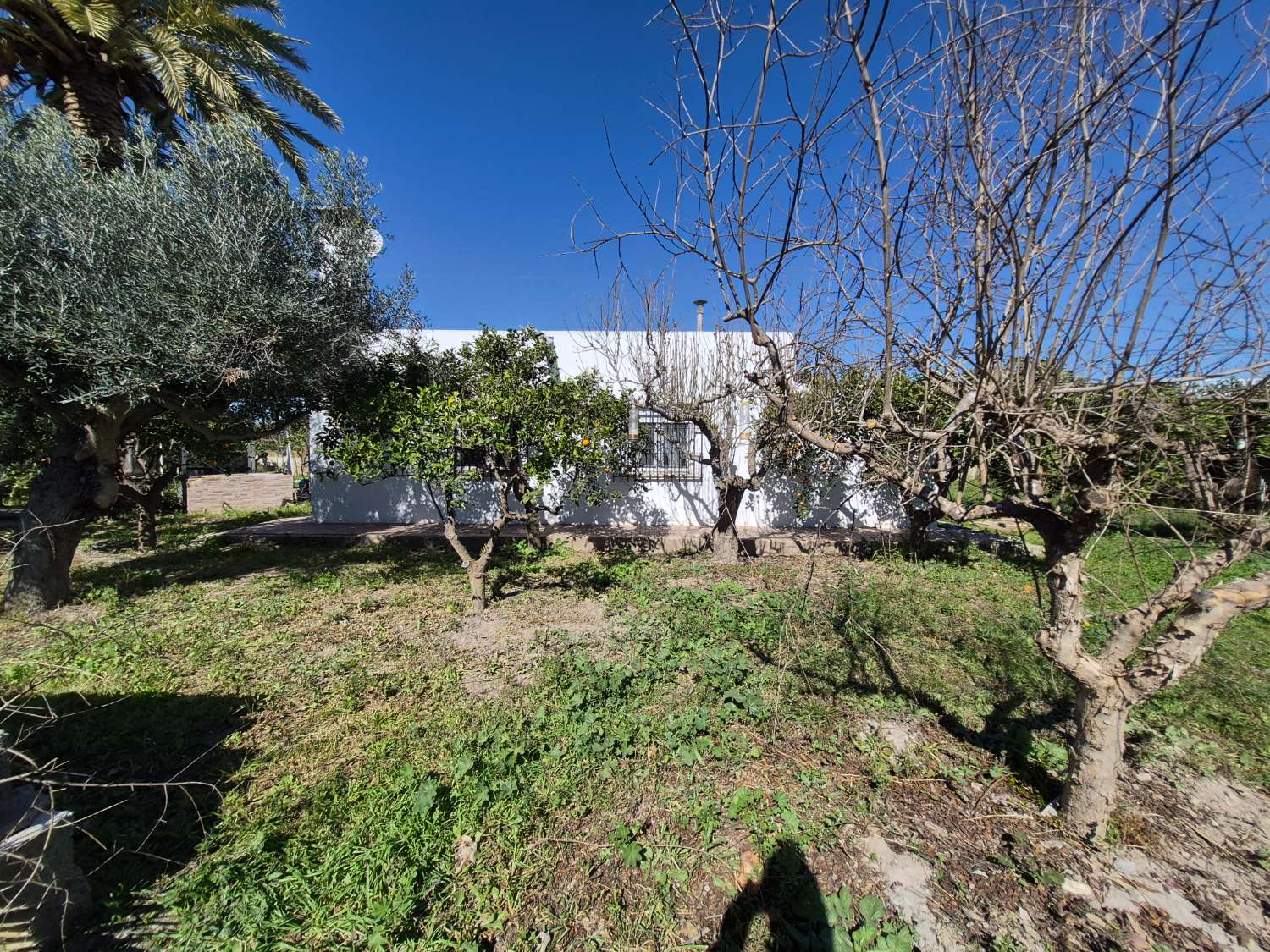 Finca con encanto en La Aljorra