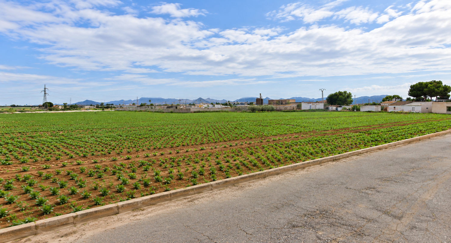 Domain en vente à El Plan-Polígono de Santa Ana (Cartagena)